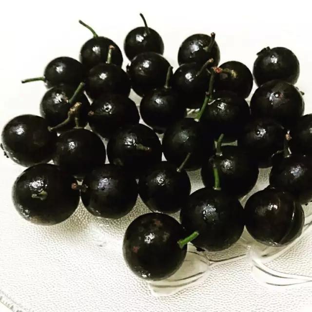 这种野果子也有叫玻璃果