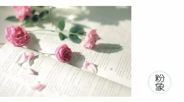 什么叫诚信,遵守诺言