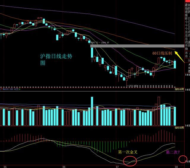 股民朋友:股市意外利空导致八月开门黑