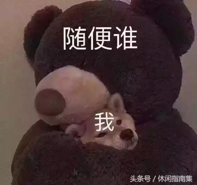 现在的男生都这么优秀吗?有100种聊天方式让