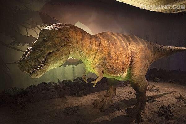 摄影:如果统治了地球八万年的恐龙还活着,我们
