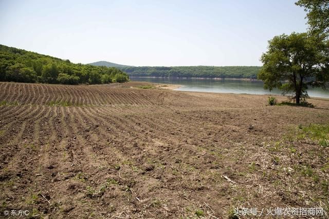农村土地确权,土地归谁名下?都有什么影响?