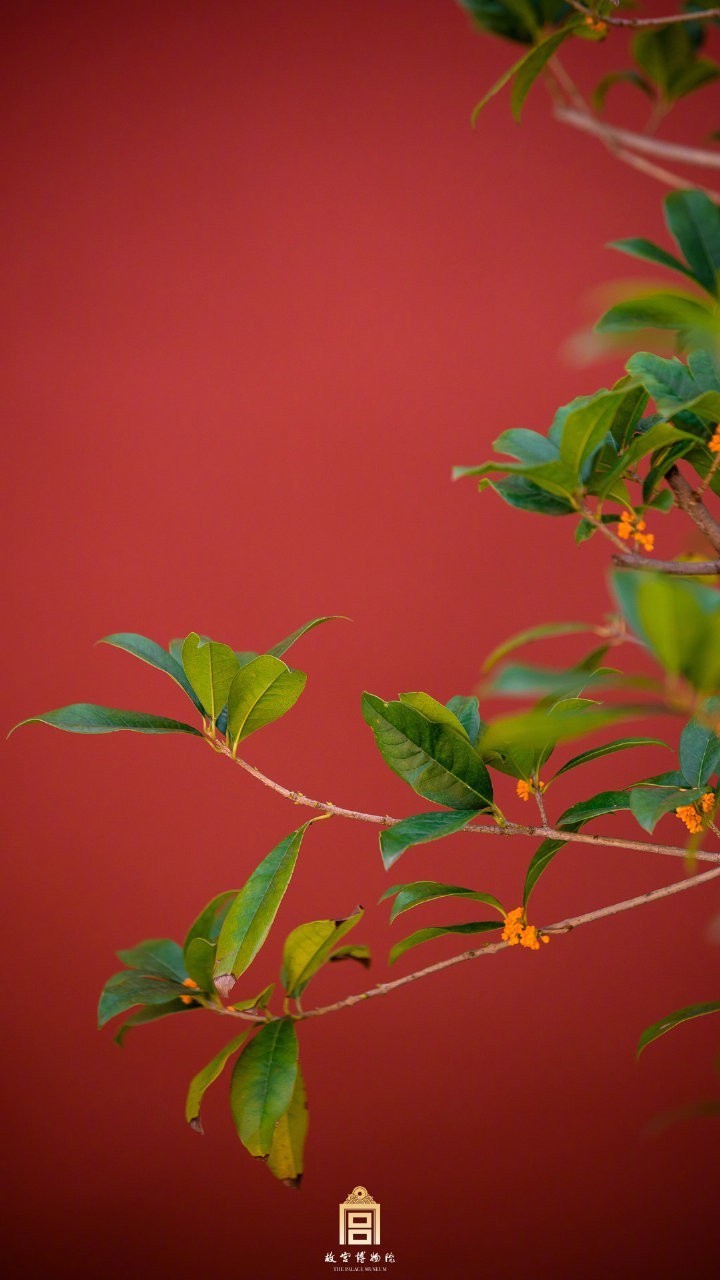 国庆版故宫壁纸来了!