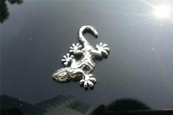 这辆复古的跑车很少有人知道名字,专属的壁虎车标