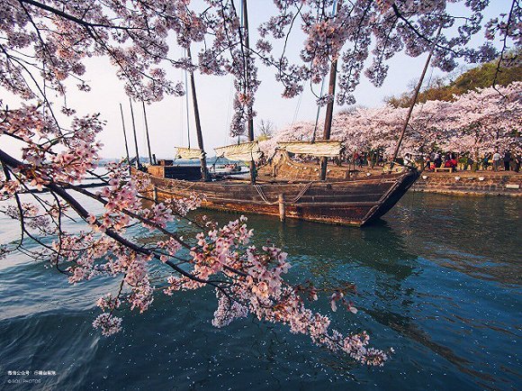 从长春桥附近的码头出发,一路可以欣赏到长春堤樱,太湖七十二峰,孤岛