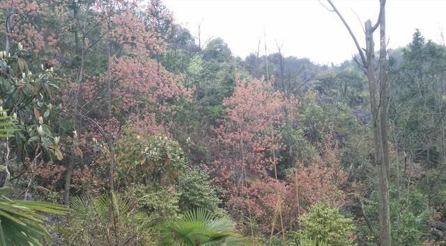 谁说贵州贫穷落后?且看今朝贵州山村美如画!