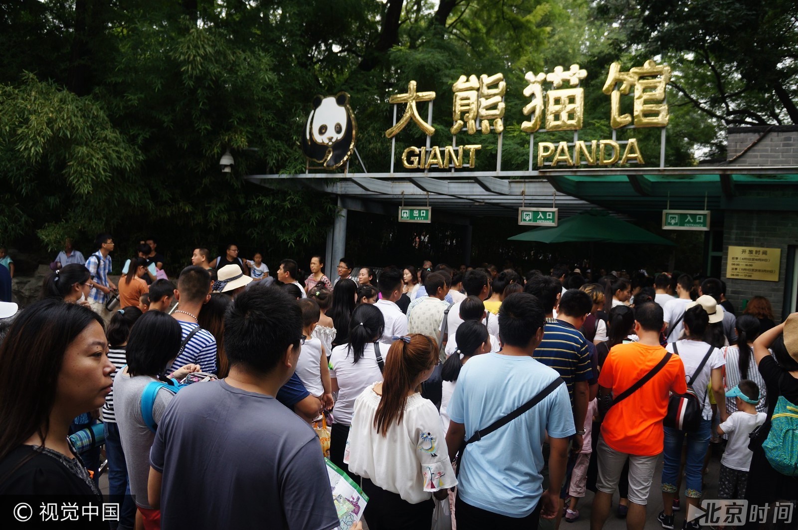 北京動物園暑期遊客眾多 大熊貓館遊人如織