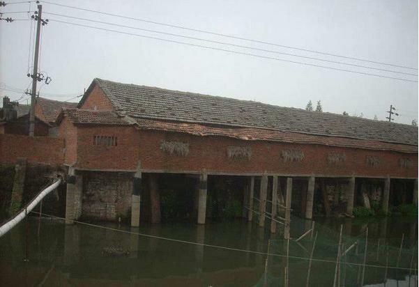 在农村,很多养猪场的名字是不符合规定的,甚至