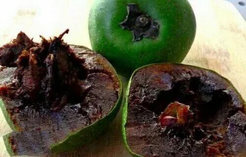 第一在中国禁止出口,国宝级珍贵植物--世界10大