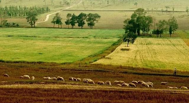 农村的女儿出嫁户口没迁出,有权续承父母的土