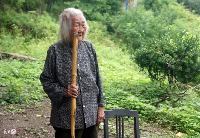 收留怀孕母狗,哥哥嘲讽他吃不饱还养狗,不料狗