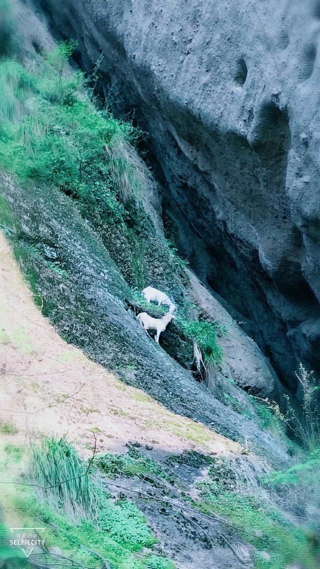 鹰潭应天山图片