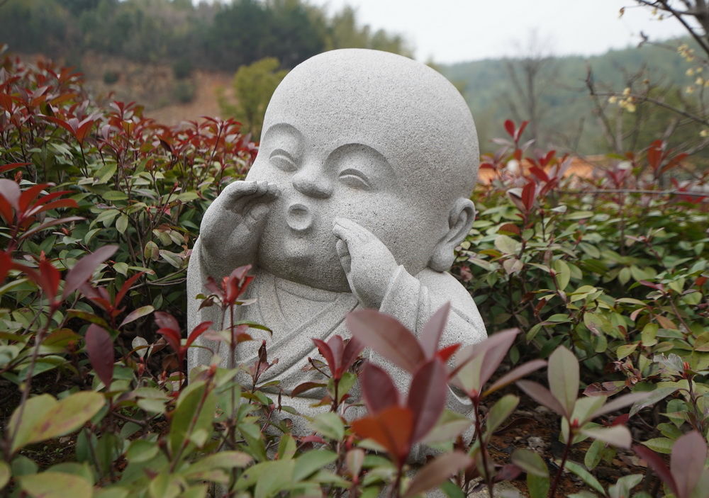 宜兴大觉寺里看到呆萌的小和尚,梳理一些佛教