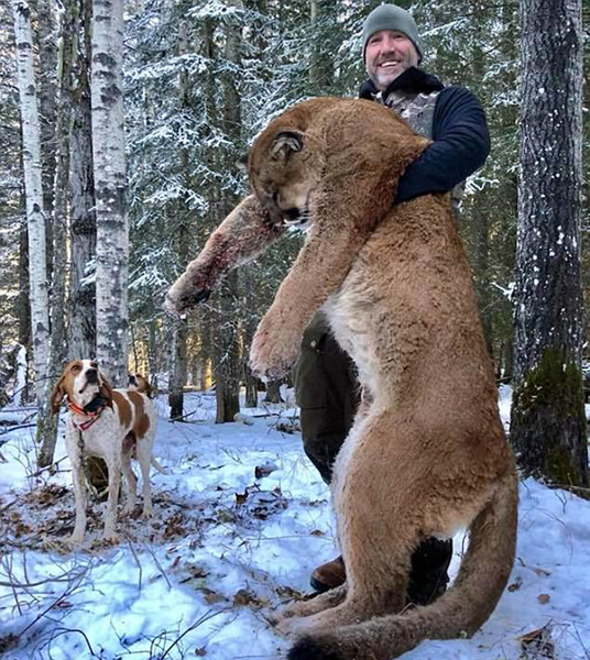 加男子面露笑容猎杀美洲狮照片引发热议