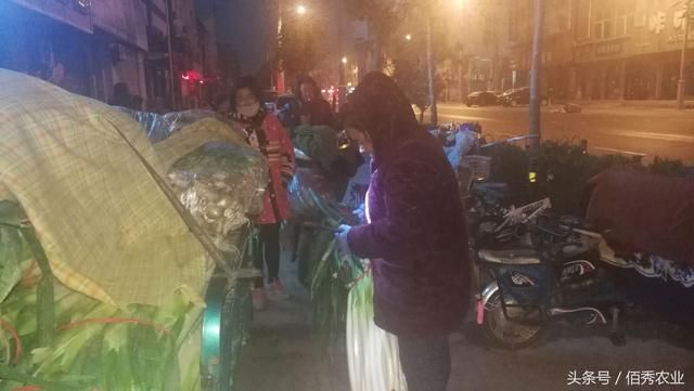 便捷的家电家居服务更受青睐京东1111送装一体服务订单同比增长超90%