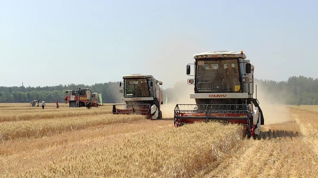 “三夏”进行时 | 北京市小麦机收减损技能大比武在顺义区顺利举行 “三夏”进行时 | 北京市小麦机收减损技能大比武在顺义区顺利举行