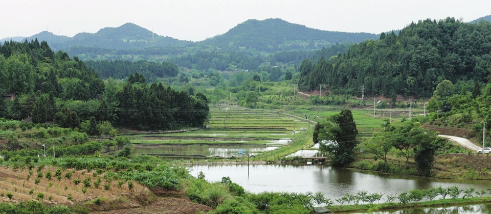 四川西充惜字塔 见证文字信仰|四川西充惜字塔社区:见证文字信仰