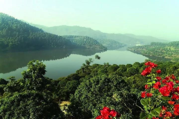 东莞哪个镇最富?哪个镇最穷?2018最新排名出