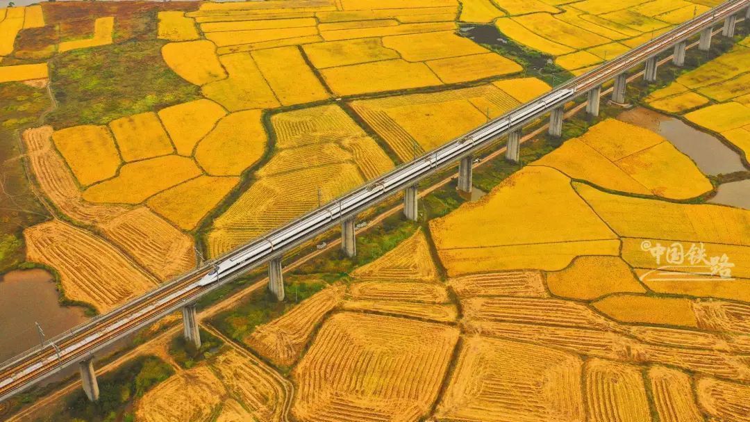 开往秋天的火车,美到窒息…… 开往秋天的火车,美到窒息……