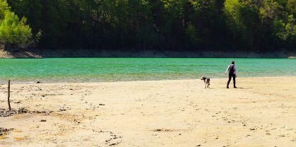 高考成绩不理想,到底要不要复读?先看2018复