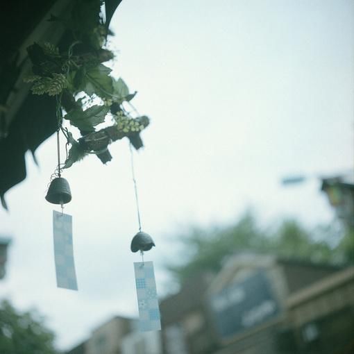 看淡人生的句子,句句霸气经典,总结得太精辟了