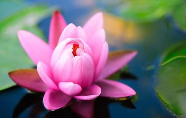 让人大彻大悟的精美句子,静下心好好读一读,句