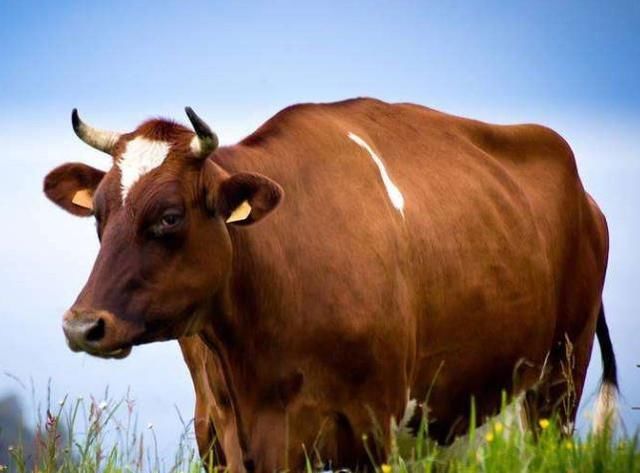 生肖运势:7月份这三大生肖能六六大顺,要什么