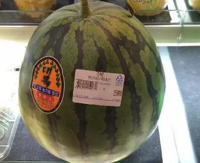 你知道韩国人有多羡慕中国人吗?网友的评论笑