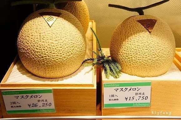 世界上最贵的西瓜:一只售价21000日元,折合人
