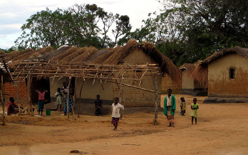 全球生育率最高的10个国家,有九个是非洲黑人