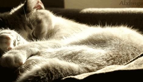 每天睡眠超8小时是错的?是不是谣言,终于清楚