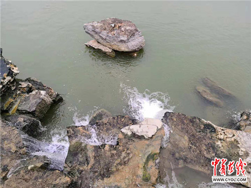 南宁:建设开放合作的前沿窗口 南宁:建设开放合作的前沿窗口