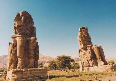 中国这玩意在埃及热卖,当地人直言离不开它,国