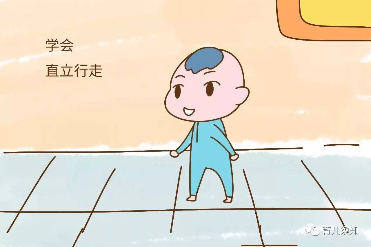 三, 学会直立行走.