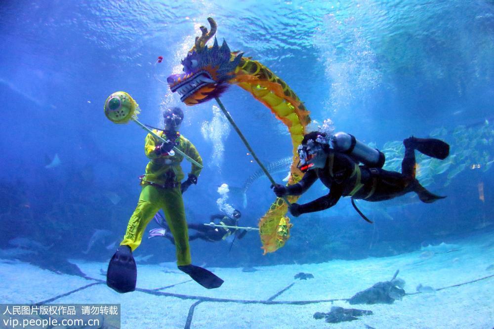 2017年5月27日，山东烟台一海洋公园的潜水员们正在精心排练他们自编自演的“水下舞龙”节目，用妙趣横生的表演和全新的视觉体验迎接即将到来的端午节假期。