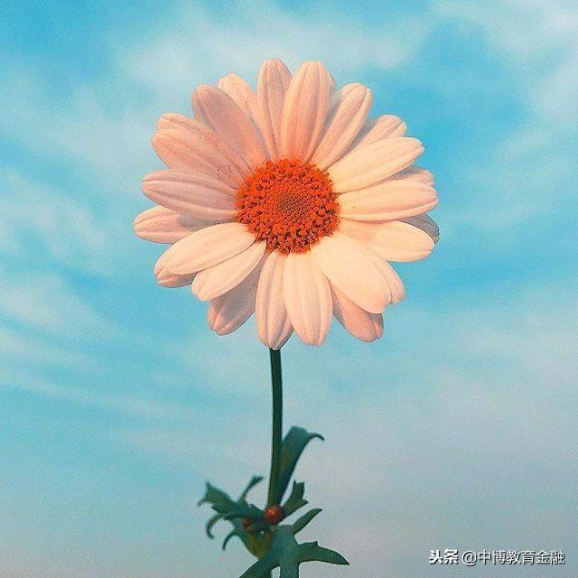 创业新点子新项目:可靠的家庭小型创业项目,马