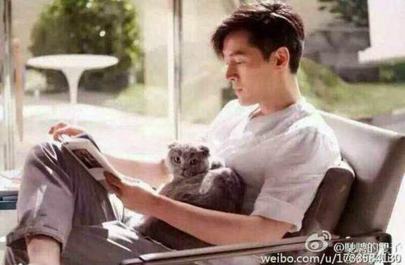 霍建华结婚了 胡歌只能和杨幂的猫咪作伴了