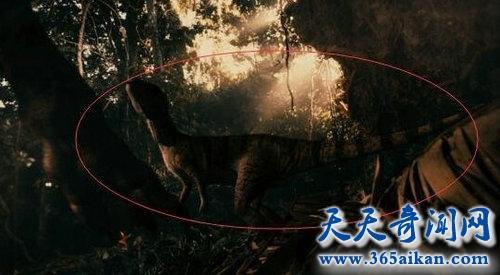 世界上唯一一只恐龙,刚果恐龙魔克拉姆边贝