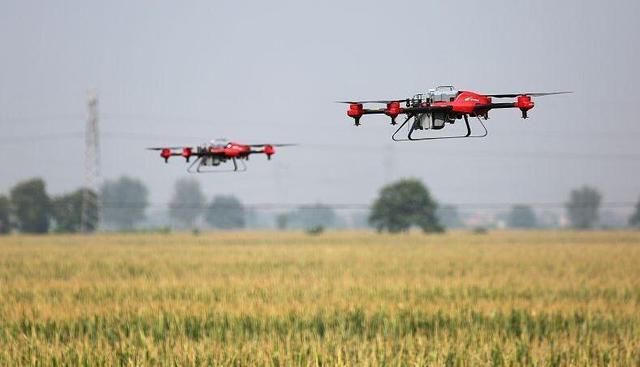 魅族手机供应商倒闭,董事长不知所踪,网友大喊