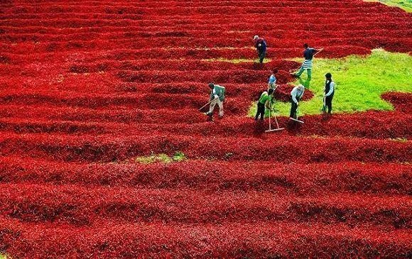 欧洲第一个对中国免签的国家是哪个?塞尔维亚