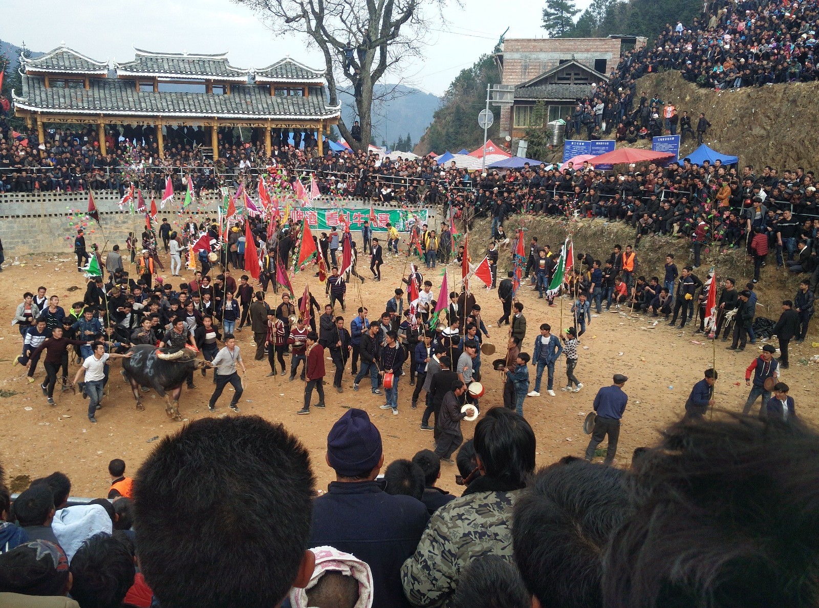 小孩玩斗牛娱乐,小时候我也是这样长大的