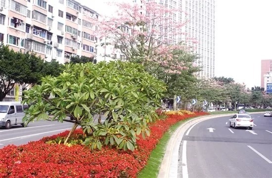 广州市嘉卉园林绿化建筑工程有限公司--致力打
