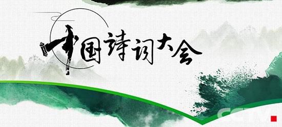 这个冠军有点黑,《中国成语大会(第三季)》总