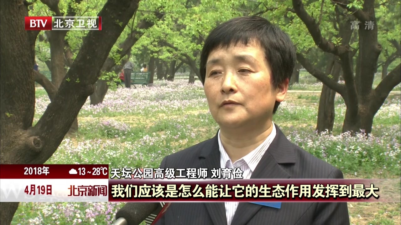 适地适草 林下繁花  北京市属公园大力推广乡土植物 适地适草 林下繁花  北京市属公园大力推广乡土植物