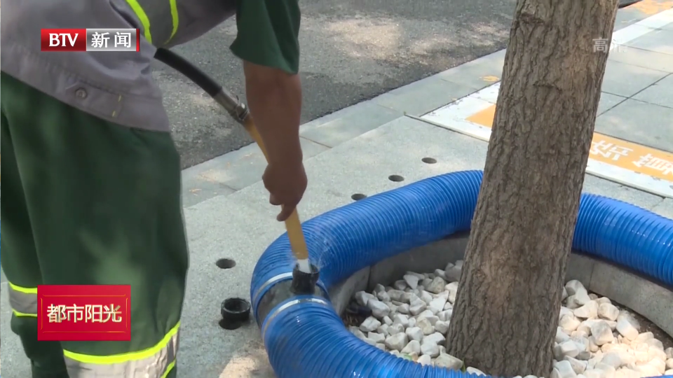 西城区应用智能滴灌技术为行道树“问诊把脉”