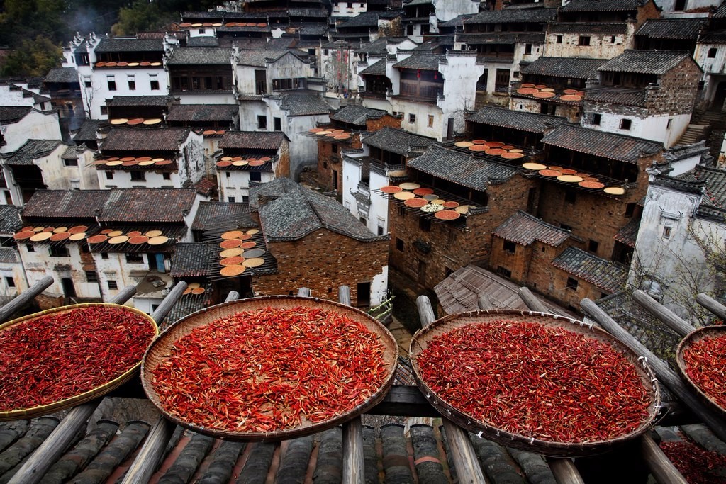 农村最值钱的3样东西,千万别毁了它!