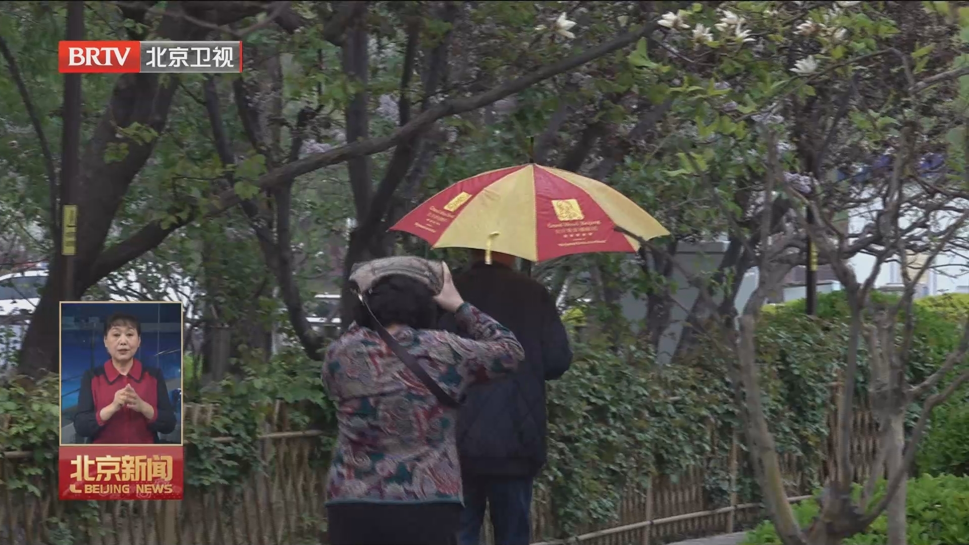 4月10日春雨润京城 全市平均降水1.9毫米