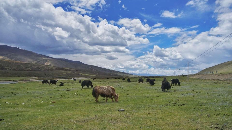 成都租车走川藏线异地还车可以吗?