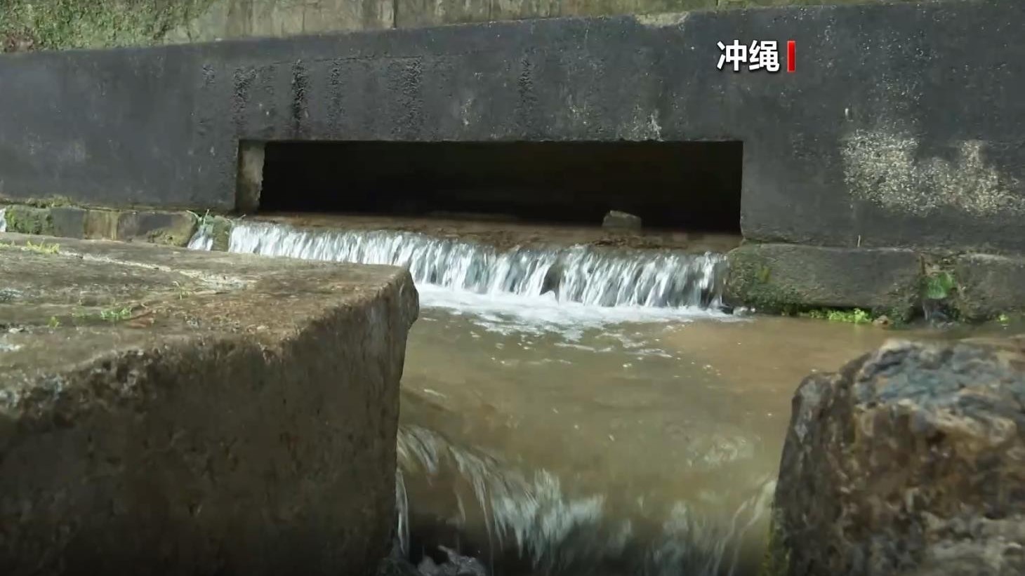 驻日美军基地疑排放有害物　冲绳县启动土壤和水体调查