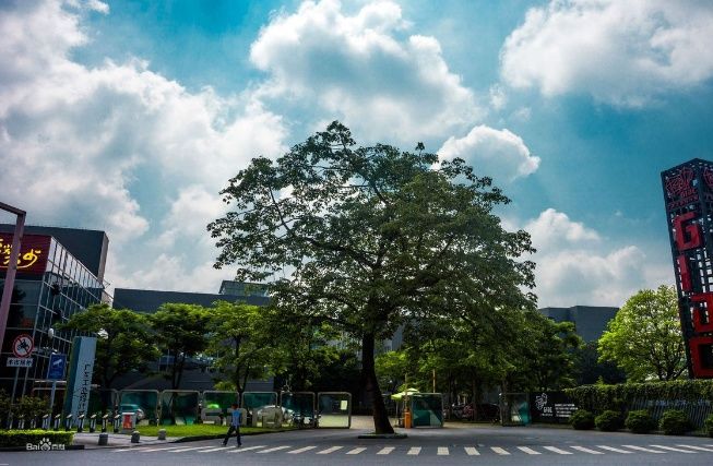 中国经济最发达的省 GDP比很多国家还高 第一